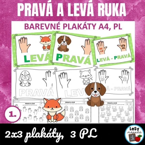 Pravá a levá ruka