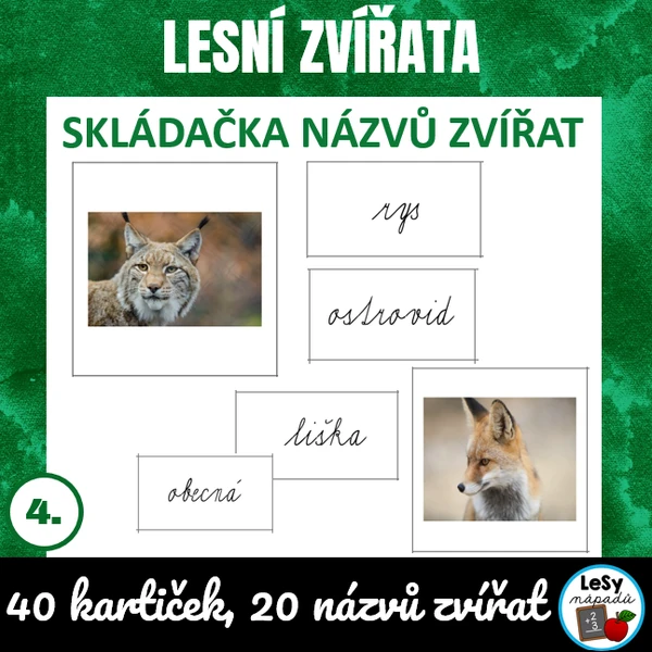 Názvy lesních zvířat 