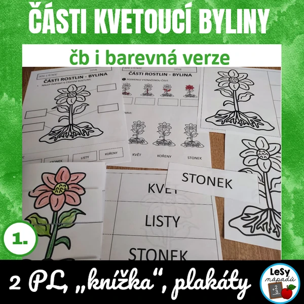 Části kvetoucí byliny