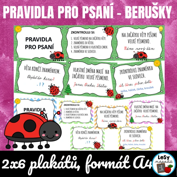 Beruška - pravidla pro psaní