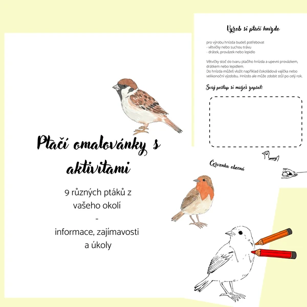 Ptačí omalovánky s aktivitami