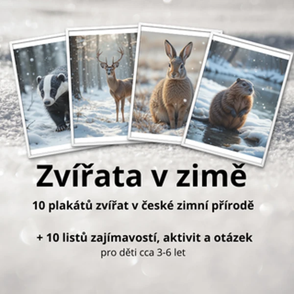 Zvířata v zimě - plakáty a aktivity
