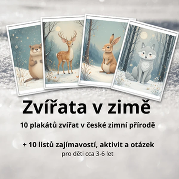 Zvířata v zimě - obrázkové plakáty + aktivity