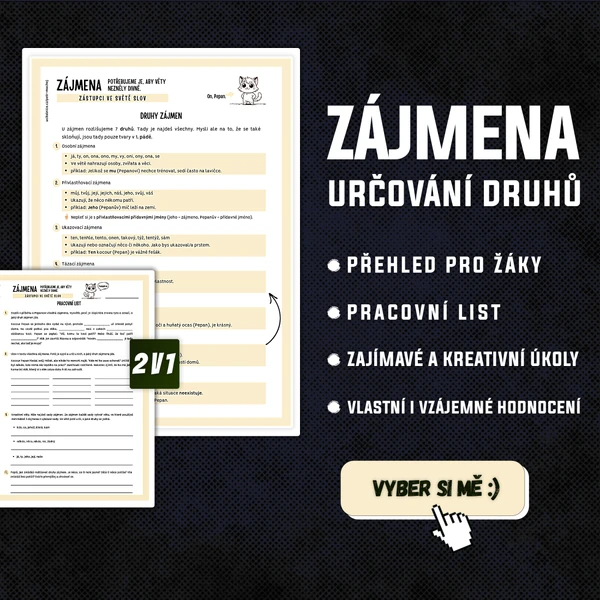 Zájmena: vysvětlení zájmen, určování druhů a pracovní list