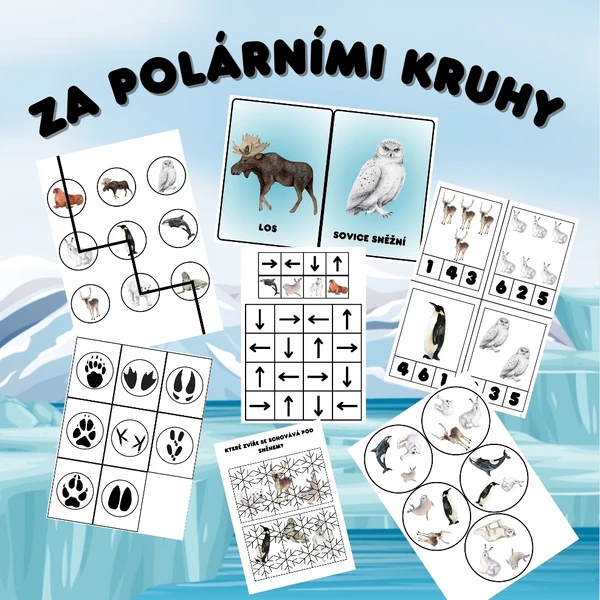 Za polárními kruhy
