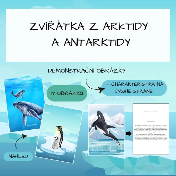 Zvířátka z Arktidy a Antarktidy
