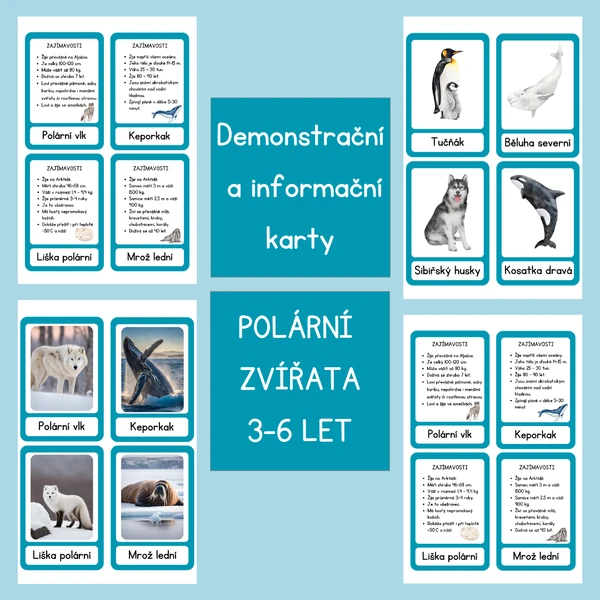 Polární zvířata - demonstrační, informační a třísložkové karty