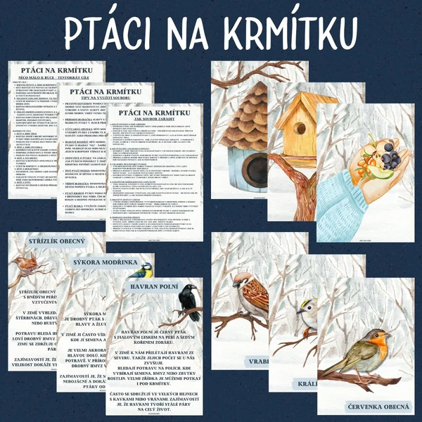 Ptáci na krmítku