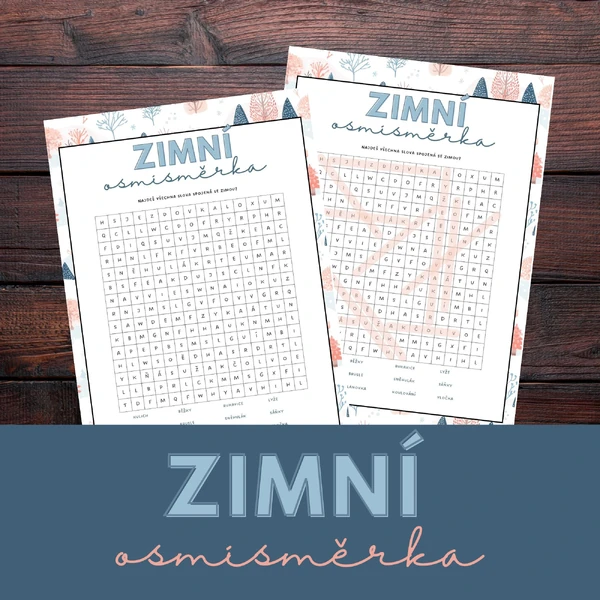 Zimní osmisměrka