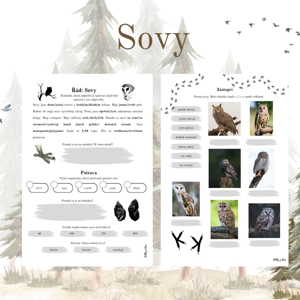 Sovy