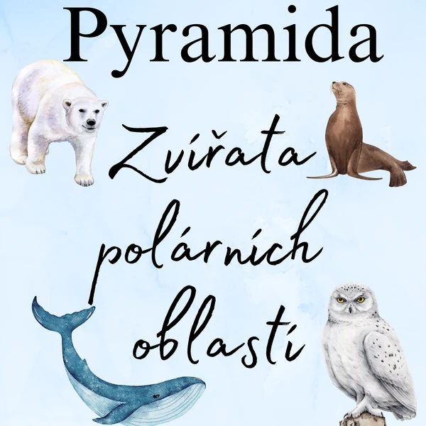Zvířata polárních oblastí - pyramida