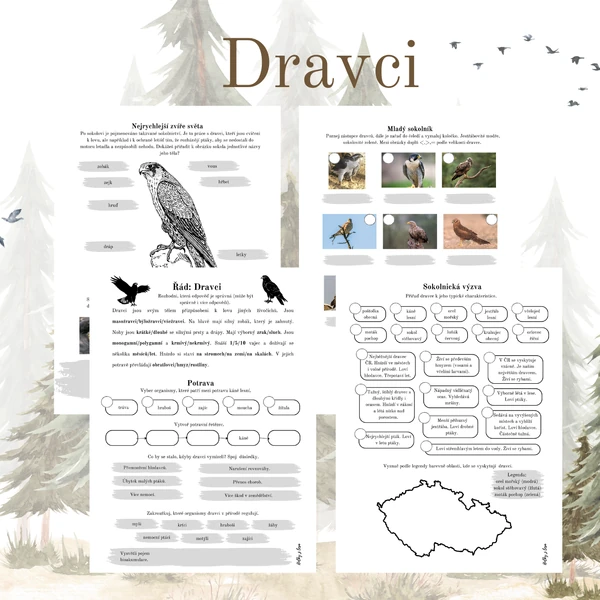 Dravci