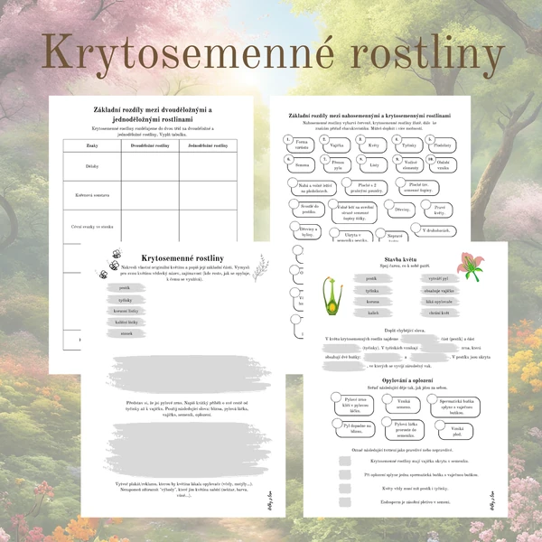 Krytosemenné rostliny