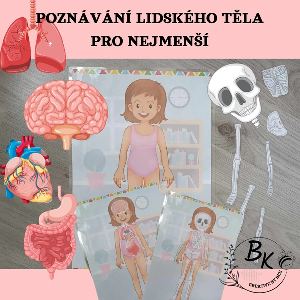 Poznávání lidského těla pro nejmenší