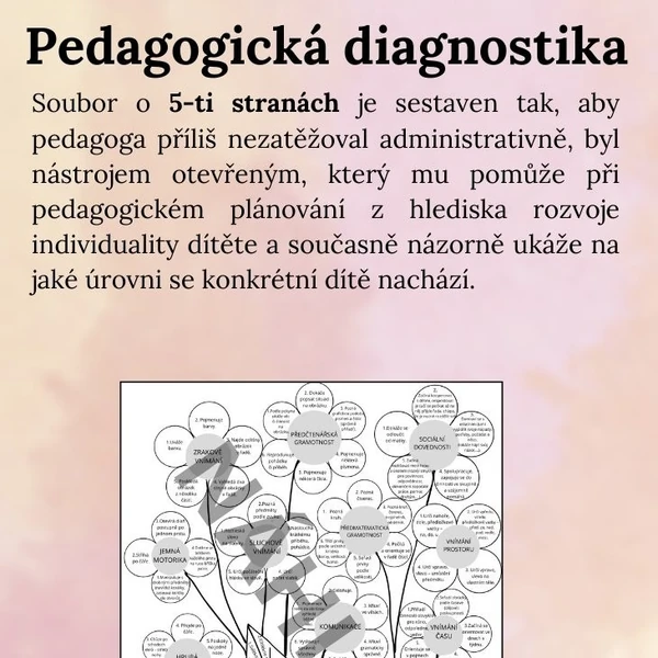 Pedagogická diagnostika dítěte v MŠ