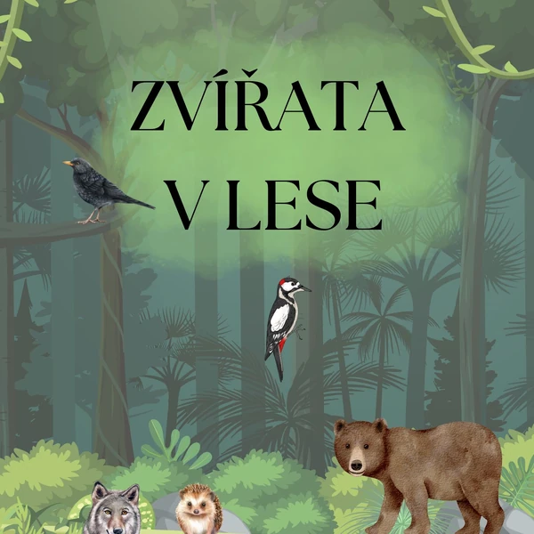 ZVÍŘATA V LESE 🌲