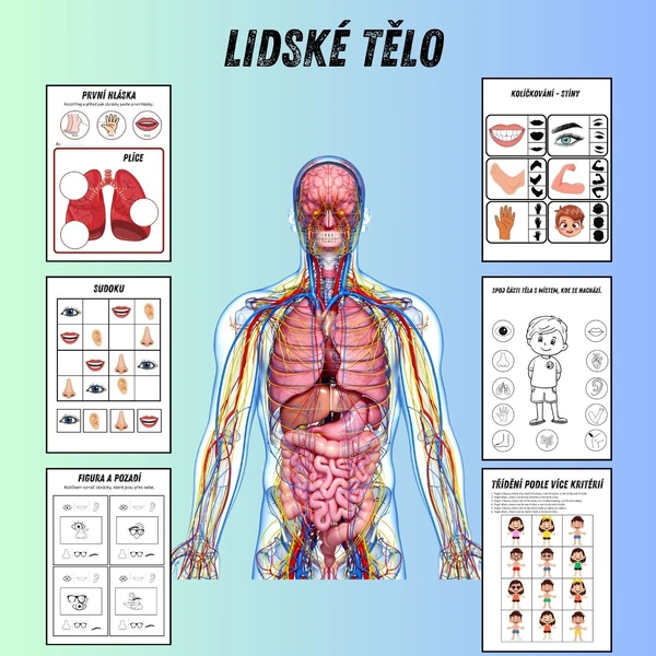 Lidské tělo pro MŠ