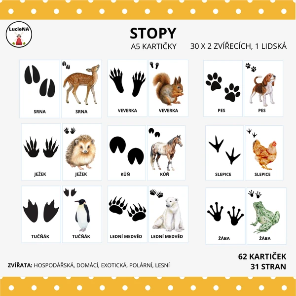 STOPY
