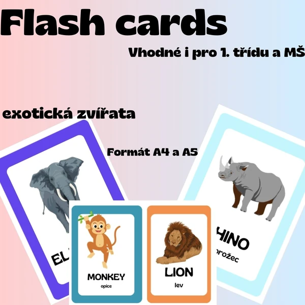 Flash cards - exotická zvířata