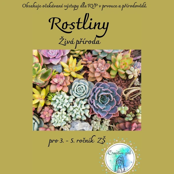 Živá příroda - Rostliny