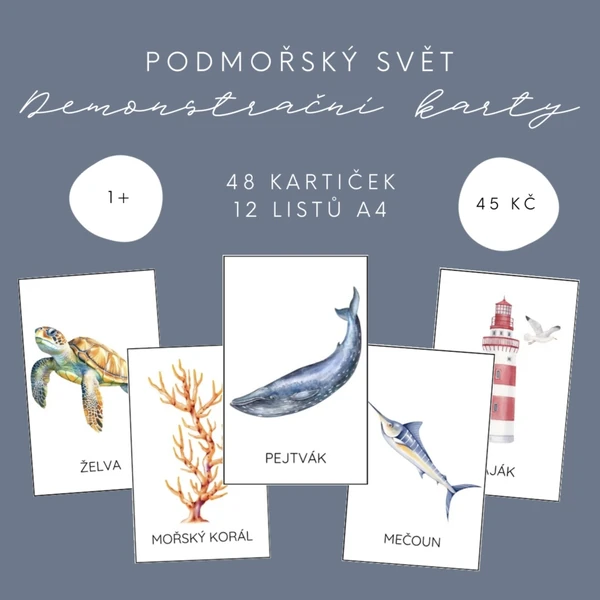 Demonstrační kartičky - podmořský svět