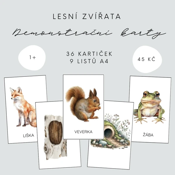 Demonstrační kartičky - lesní zvířata 