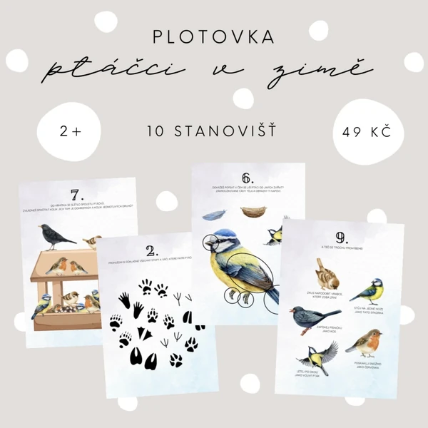 Plotovka - ptáčci v zimě