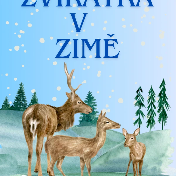 Zvířátka v zimě