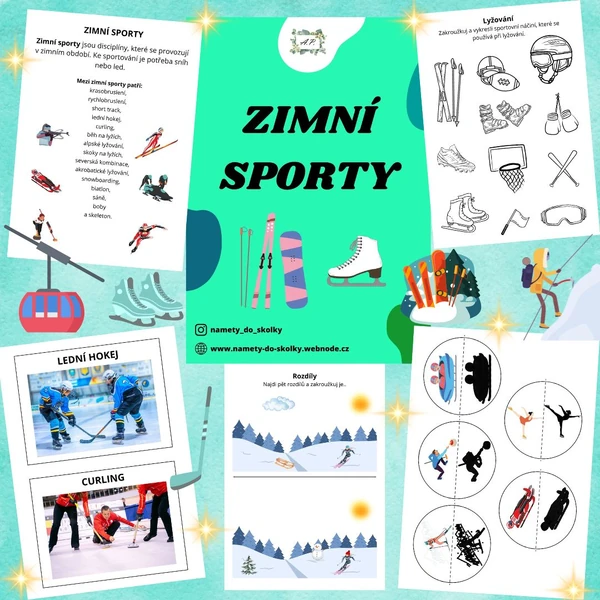 Zimní sporty 