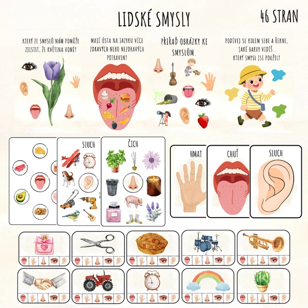 Lidské smysly
