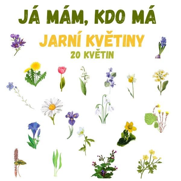 Já mám, kdo má - jarní květiny