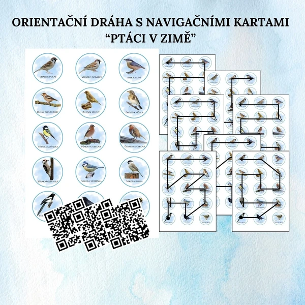 Ptáci v zimě - Orientační dráha s navigačními kartami