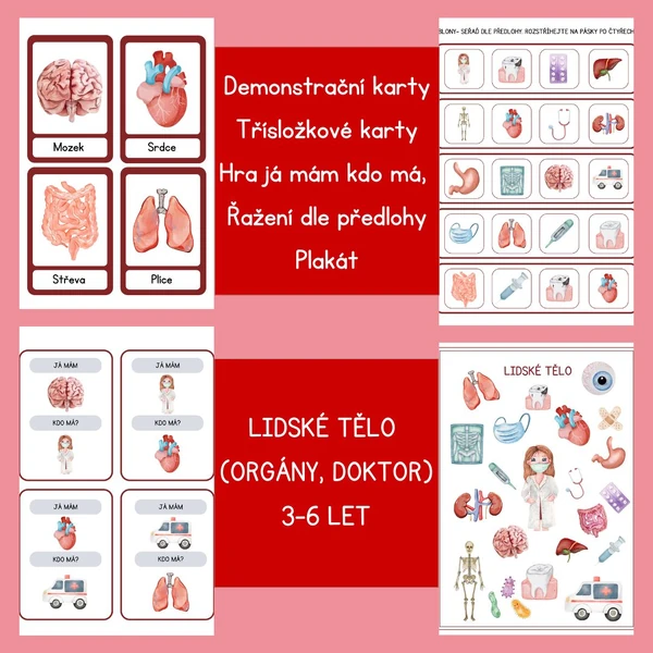 Lidské tělo (orgány, lékař,...)