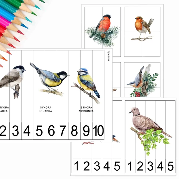PTÁČCI NA KRMÍTKU - počítání a puzzle pro nejmenší