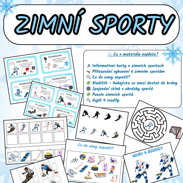Zimní sporty