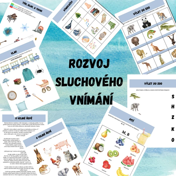 Rozvoj sluchového vnímání