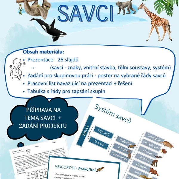Savci - příprava, pracovní list