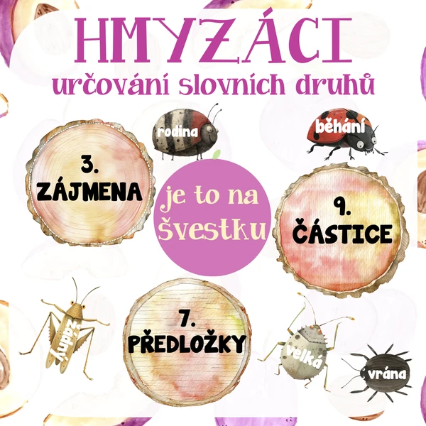 Slovní druhy - hmyzáci