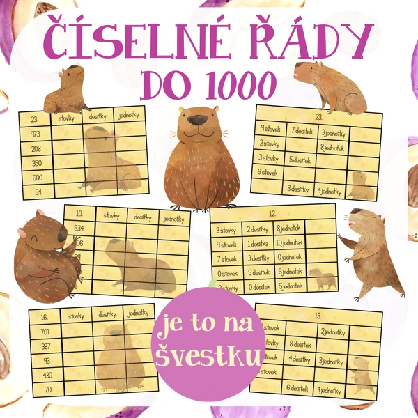 Číselné řády do 1000 s kapybarou