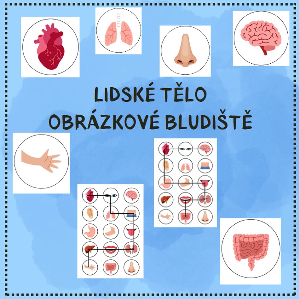 obrázkové bludiště - LIDSKÉ TĚLO