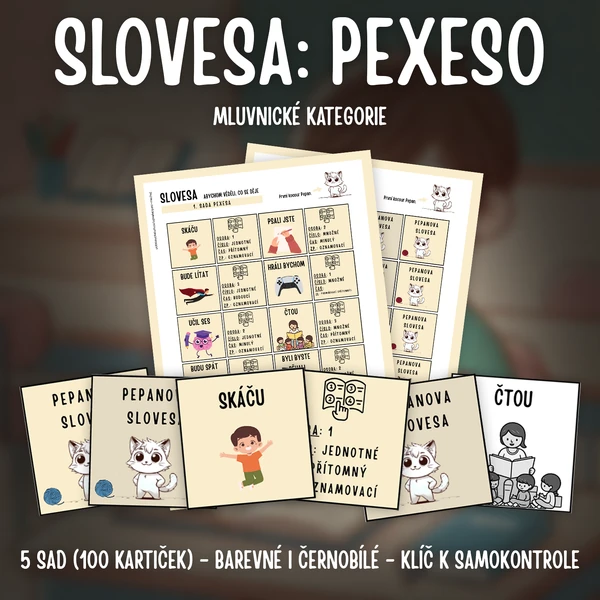 SLOVESA - mluvnické kategorie: PEXESO (5 sad - 100 kartiček)