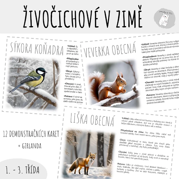 Živočichové v zimě