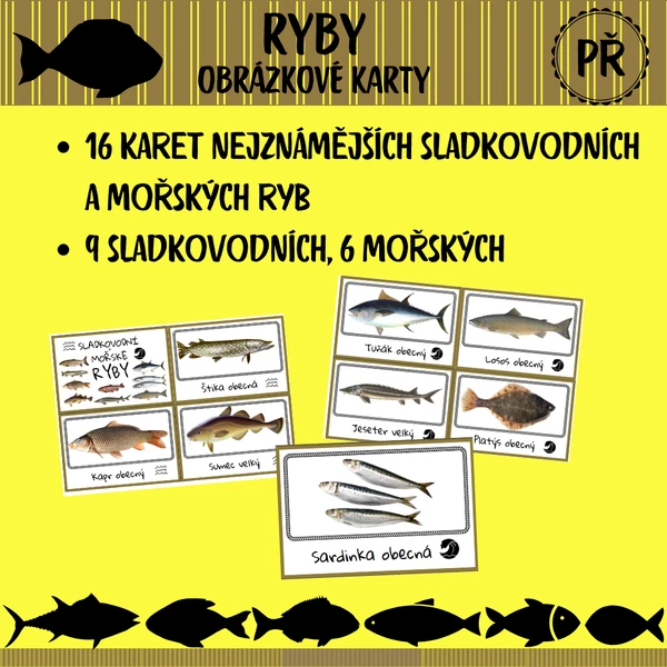 Ryby