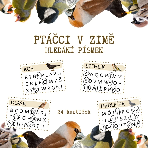 PTÁČCI V ZIMĚ - hledání písmen