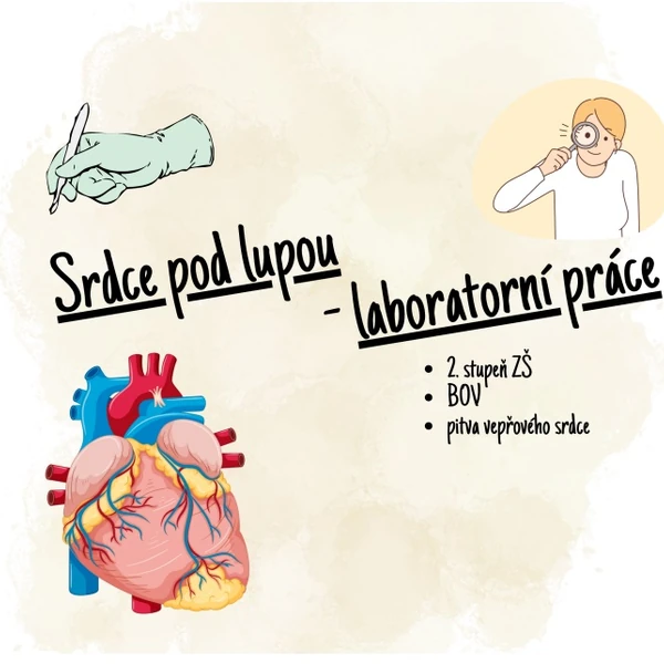 Srdce pod lupou - laboratorní práce