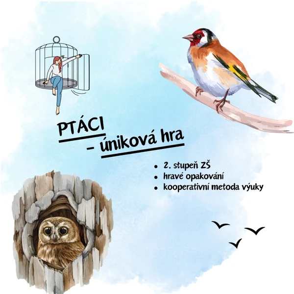 Ptáci - úniková hra