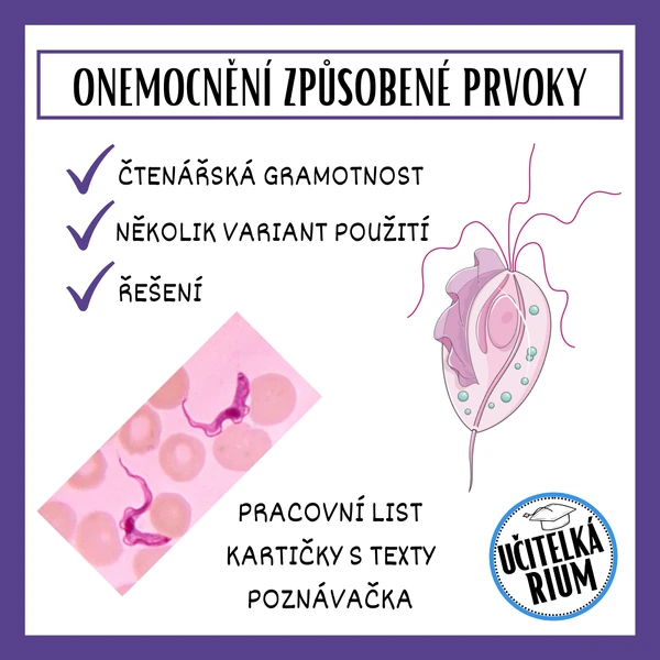 ONEMOCNĚNÍ ZPŮSOBENÉ PRVOKY - čtenářská gramotnost, poznávačka