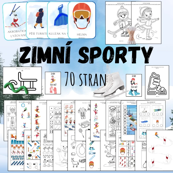 ZIMNÍ SPORTY