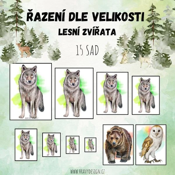 Lesní zvířata - řazení dle velikosti 