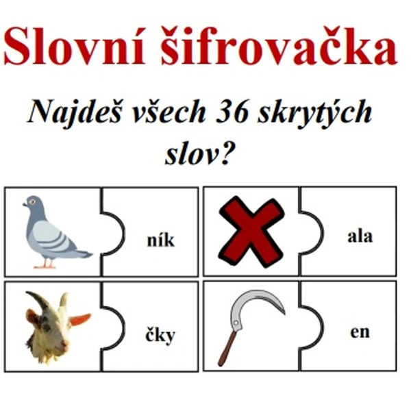 Slovní šifrovačka